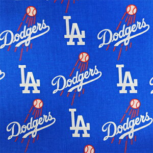 T[X hW[X Rbgn W58C`y50cmȏ10cmPʁz 20189-10 u[  z  V[`O  | 싅 x[X{[ LA W[[O MLB ObY Ai C|[g A