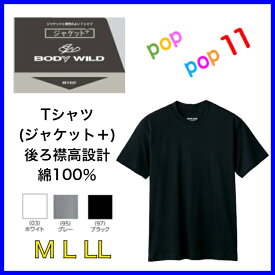 グンゼ Tシャツ メンズ 年間 ボディワイルド 綿100 コットン スムース M L LL スムース 丸首 襟高 ジャケット対応 GUNZE BODY WILD 年間 アウターT ぐんぜ ジャケット専用 BW5413 BW5413A