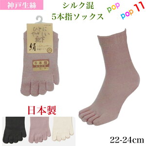 _ːN wl 5{w\bNX VN  22-24cm { ƕt ێ z  fɂ₳ 킢 O C fB[X p t H~ N _ː RxX 3190