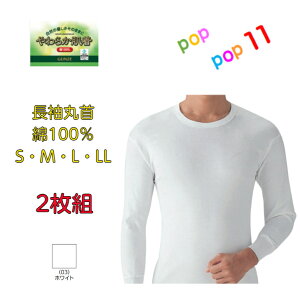 GUNZE O[ 炩2g/ ێ S M L LL 3L 100 am Y Ci[ RۖhLH SV61162 SV6108A