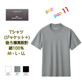 グンゼ Tシャツ メンズ 年間 ボディワイルド 綿100 コットン スムース M L LL スムース 丸首 襟高 ジャケット対応 GUNZE BODY WILD 年間 アウターT ぐんぜ ジャケット専用 BW5413 BW5413A BW5413B