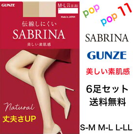 【送料無料 6足セット】グンゼ サブリナ ストッキング ナチュラル S-L M-L L-LL JJML 消臭 静電気防止 デオドラント マチ付 つま先補強 足型セット 伝線しにくい 幅広ストレッチウエスト パンティ部立体 素肌感 履いていないような SCY 年間 日本製 SABRINA GUNZE SB510