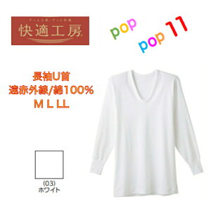 GUNZE O[ KH[ ԊOH VRLgT U 100    ۉ Y ۉCi[ j U am H~ M L LL Vc KQ6010