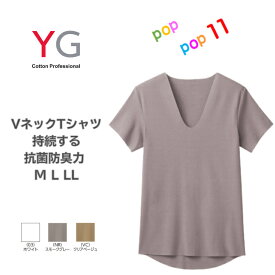 GUNZE グンゼ VネックTシャツ V首 インナー 半袖 メンズ Vネック 綿混 抗菌防臭 カットオフ きりっぱなし 透けにくい ひびきにくい シンプル 定番 ビジネス ストレッチ 柔らか メンズインナー シャツ 紳士 肌着 通年 下着 男性 M L LL YN1515