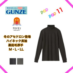 GUNZE O[ t@C[AZh nClbN Nь fB[X H~ Ci[ ₦h~ z  ʋC  ̃jIC   wl   M Ci