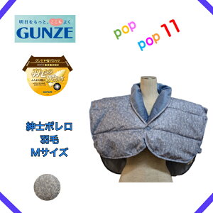 O[ H _E tFU[ { HD Y M 񌳃{A  ӂ y Hp ~p g  am j M GUNZE  pW} SK4540