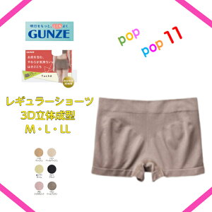 GUNZE O[ Tuche 3D̐^ M[V[c M L LL {NT[pc ̂т̂3D^1 {bNX qbv3DKۂ ^O gDVF TV1562