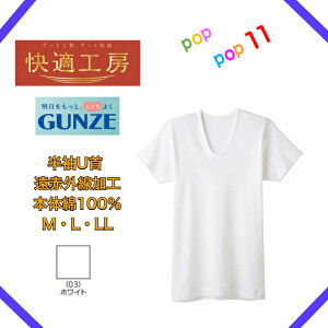 GUNZE �O���[ ���K�H�[ ���ԊO�����H ����U�� ��100�� ���� ���� ���� �ۉ����� �����Y �ۉ��C���i�[ �j������ ����U�� �a�m �H�~ �V���c KQ6016