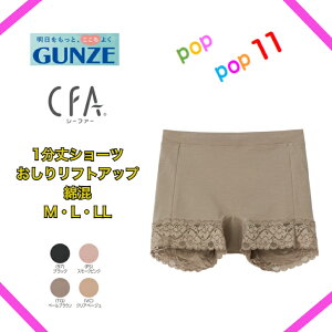 GUNZE �O���[ �V�[�t�@�[ CFA 1����V���[�c ���M�����[�V���[�c ���f�B�[�X �ȍ� �p���c �p���e�B �q�b�v�A�b�v �R�b�g�� ���t�g�A�b�v �ȍ��V���[�c ���� ���� �w�l ���f�B�[�X�p���c �V���v