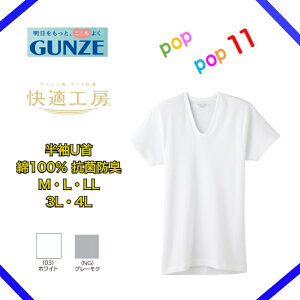 GUNZE �O���[ ���K�H�[ ����U�� ��100�� �t���C�X �j������ �R�ۖh�L ���{�� �C���i�[ ��ԃV���c S M L LL 3L 4L KQ5016 KW5016