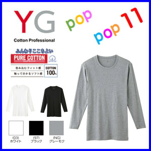 GUNZ �O���[ YG �����O�X���[�u�V���c �ێ� �a�m ��100�� �R�b�g�� �����Y �j�� �a�m ���� �R�ۖh�L���H �r�W�l�X �N�� M L LL YV0011N YV0011V