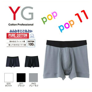 GUNZE O[ YG {NT[pc(O) j {NT[u[t 100 Rbg Y jp am pc M L LL 3L N YV0081U