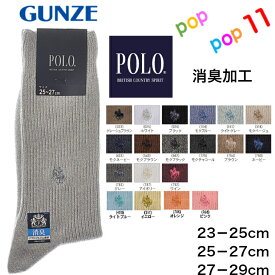 グンゼ POLO ポロ BCS ビーシーエス リブソックス ワンポイント 23 24 25 26 27 28 29 紳士靴下 男 表糸綿100％ 定番ソックス ビジネス カジュアル 消臭加工 デオドラント加工 デイリー 父の日 GUNZE PL0122