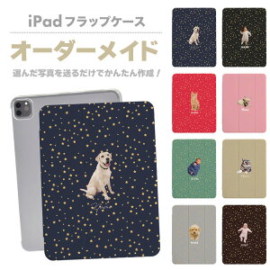 iPadP[X iPadJo[ 蒠^ iPad Pro iPad Air iPad mini 10 9 8 7 6 5 4 ACpbhJo[ 10.2C` 10.5C` 11C` 13C` IWi I[_[C