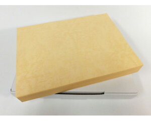 GBCXgbNJo[@yA4/298x211mm/100z P12A4BZ-YL@vX`bNOEcC[v{pJo[