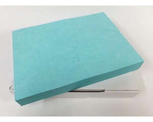 GBCXgbNJo[@݂yA4/298x211mm/1100z P12A4BZ-BL