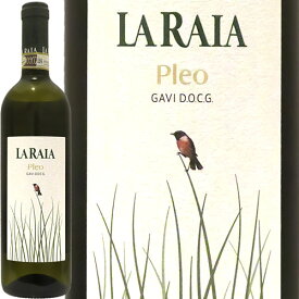 ガヴィ・プレオ[2022]ラ・ライアGavi Pleo 2022 La Raiaイタリア 自然派 ピエモンテ 白ワイン テラヴェール