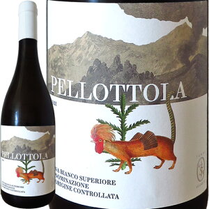 Ggi rAR XyI[ ybbg 2021 eb ZO[eEtna Bianco Superiore - Pellottola 2021 Terre SegreteC^A V`A JbJe V[k