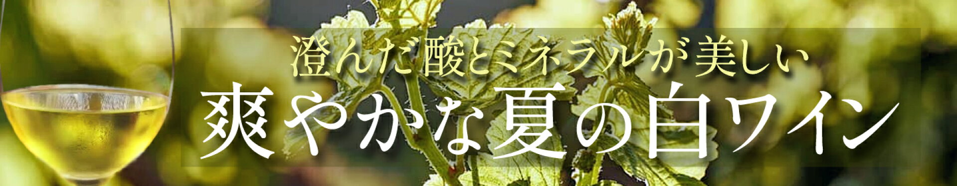 夏 飲みたい 美味しい 白ワイン