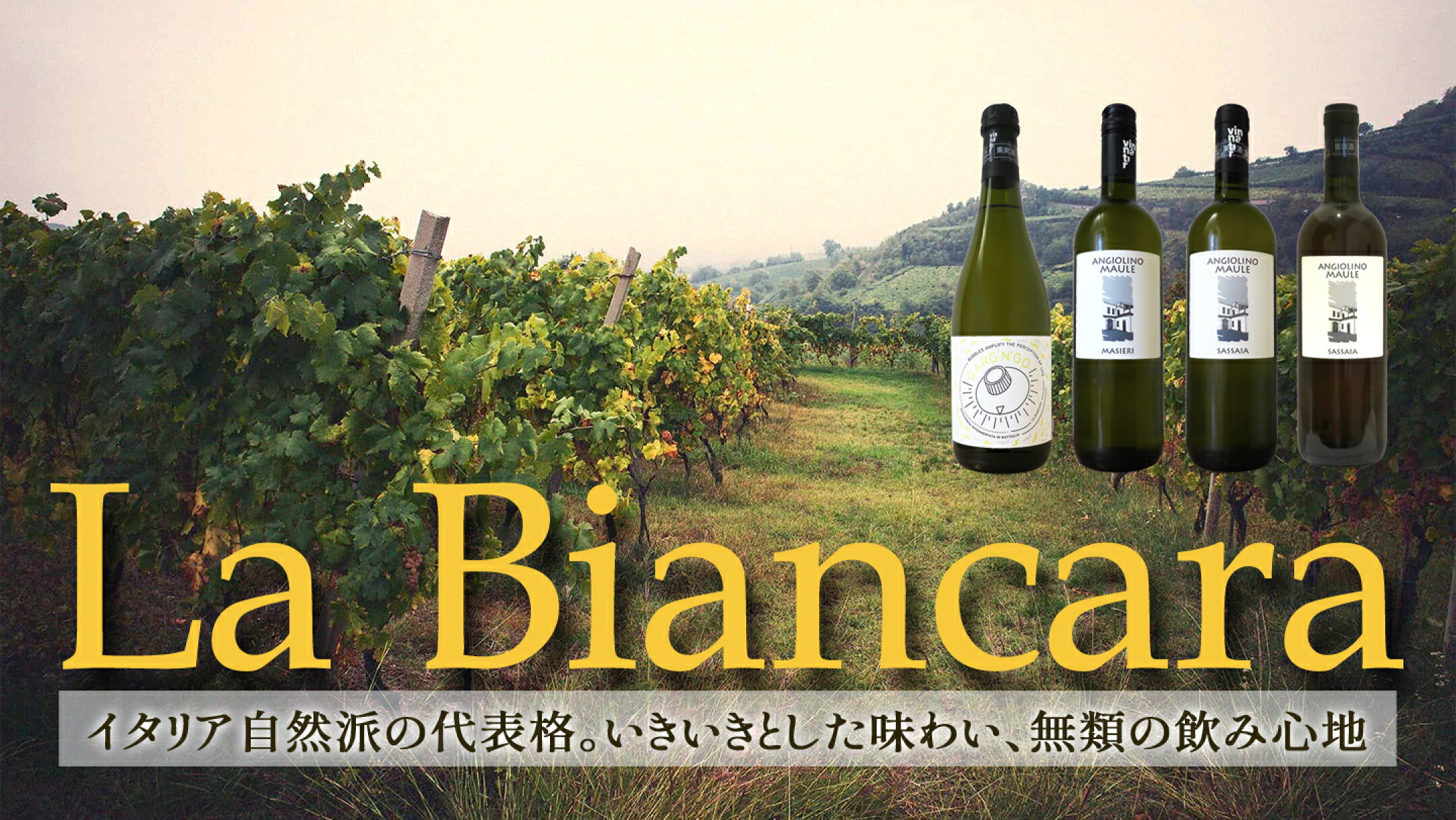 LA BIANCARA ラ ビアンカーラ ソアヴェの隣の偉大な造り手
