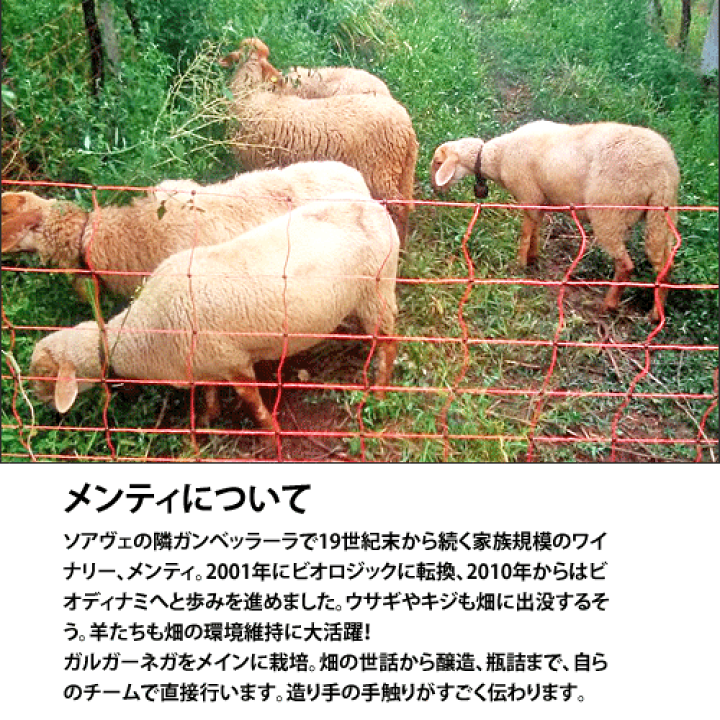 楽天市場】リーヴァ アルジーリア 2023 メンティRiva Arsiglia 2023