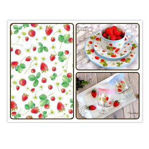 |[Z[c ]ʎ yZbgz]ʎ pKXpZbg C`S  Xgx[ |[Z[c |[ZA[gp 킢 IV |[Z IWi@]ʎ