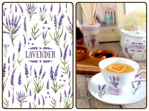 |[Z[c ]ʎ ypzx_[]ʎ |[Z[cp]ʎ ̉ |[Z[c |[ZA[gp 킢 IV |[Z |[Z[c]ʎ ]ʎ IWi@