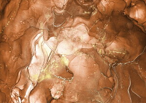 |[Z[c ]ʎ ypzAR[CNA[g]ʎ uEJ[ |[Z[cp]ʎ |[Z[c |[ZA[gp _ IV |[Z |[Z[c