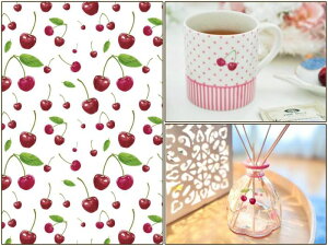 |[Z[c ]ʎ yZbgzړ]ʎ KXpZbg `F[ t[c@sN@ |[Z[c |[ZA[gp 킢 IV |[Z KXp]ʎ