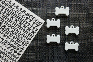 y5ZbgzhbO`[@@5ZbgwminiCjV]ʎv[g@ dog@@񂿂@񂱁@R@|[Z[c@|[ZA[g IWi