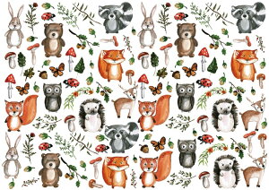 |[Z[c ]ʎ yZbgzƂڂX̓]ʎ KXpȃZbg20It(|[Z[c ]ʎ |[ZA[g    nlY~ LmRj