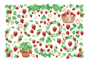 |[Z[c ]ʎyZbgzkXgx[K[f]ʎ KXpȃZbg20Iti|[Z[c ]ʎ |[ZA[g |[ZA[g   C`S 