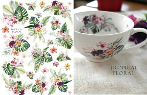 |[Z[c ]ʎ ypzʃgsJt[@A4TCYi|[ZA[gp@ԓ]ʎj|[Z[c |[ZA[gp 킢 IV |[Z |[Z[cp]