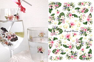 |[Z[c ]ʎ yKXpz gsJt[ TropicalFlowers |[Z[c |[ZA[gp 킢 IV |[Z p |[Z[cp]ʎ |[ZA[gp]