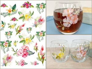 |[Z[c ]ʎ yKXpznCAu[P]ʎ@i|[Z[c |[ZA[g ԕ  ]ʎ nC nCrXJX vA){^jJ K[f@ā@T}[@IW