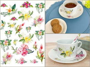 |[Z[c ]ʎ ypznCAu[P]ʎ@i|[Z[c |[ZA[g ԕ  ]ʎ nC nCrXJX vA){^jJ K[f@ā@T}[@IWi