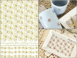 |[Z[c ]ʎ ypzHibiscus Gold nCrXJX LL{]ʎ A3TCYi|[ZA[gp]ʎj 썑@T}[IV |[Z[cp]ʎ |[ZA[gp