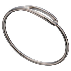 PORTER CLASSIC（ポータークラシック）PLATINUM NEEDLE RING