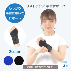 y1000~|bLz T|[^[ 싅 obeBO F≊ Xgbv  T|[^[ Œ oXPbg y ×p 2 Zbg F≊ ˂ t[TCY jp 