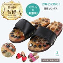 【楽天1位 / 整体師監修・推薦】 健康サンダル 足つぼ スリッパ 天然石 健康スリッパ メンズ レディース 室内 オフィス 足ツボ Cadi 履き 強力 男女兼用 刺激 指圧 強烈 痛い 足裏 マッサージ 突起 足裏 ツボ押し リフレクソロジー