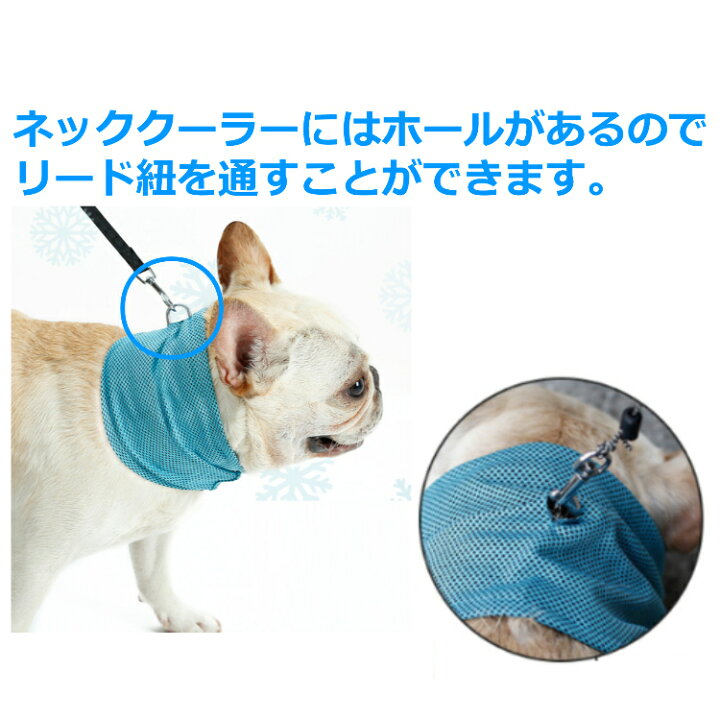 1070円 毎週更新 ペット用ネッククーラー 冷却スカーフ 犬猫兼用クールバンダナ 首輪 取り付け簡単 水洗い可 柔らかく食事用 誕生日 お散歩 1070円 毎週更新 ペット用ネッククーラー 冷却スカーフ 犬猫兼用クールバンダナ 首輪 取り付け簡単 水洗い可 柔らかく食事用 誕生日 お散歩