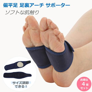 Ε G T|[^[  A[` y܂  q C\[ P ObY ×p A[` T|[^[ یpbh ނ݉ Ռz 4Zbg jp t[TCY 