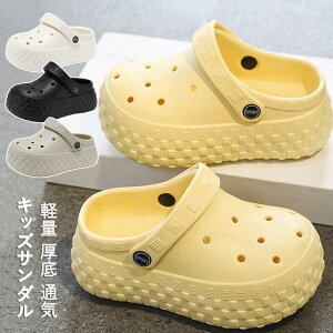  LbYT_ NbOT_ 2WAY q j̎q ̎q T_ y h ʋC T{T_ r[`T_  AEghA C r[` v[ W[ WjA ʉ ʊw 