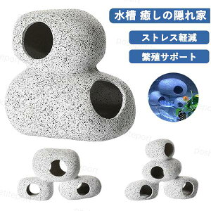  IuWF B   ANAEpIuWF u VF^[ I[ig AȊ╗IuWF  Bꂽ Yꏊ _J Gr Mы   XgXy ɐBT