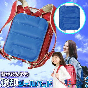 wЂpWFpbh 1 ΍ MǑ΍ Ђ M ① 30`60 hZ bN Ȃ t\ c w l pV[g p WF ⊴ ⊴ObY 