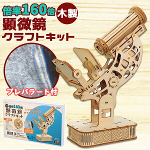 A[ebN ̃pY ؐ  NtgLbg m Ώ۔N 9Έȏ q nڒ sv s[X 傫ڃs[X pY ؐpY ؐ̃pY 3DpY gݗ v[g 