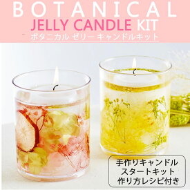 キャンドル キット 手作り ボタニカル ゼリー キャンドルキット 1個 無香料 親子 入門編 初心者 ビギナー 手作りキャンドル ジェルワックス ゼリーキャンドル クリア DIY 工作 自由研究 夏休み 趣味 インテリア ハンドメイド ワークショップ カメヤマキャンドル カメヤマ