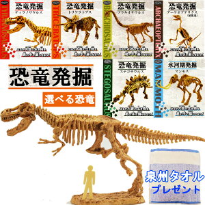  E X͊ @ Lbg yIׂ6ށz{v[guB^I D 1{(34×35cm) @vn}[ m~ t S20cmTCY Ώ۔N 6Έȏ ΍p   RNV 