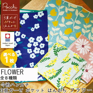  3dK[[nJ` POCCHI S7ށyIׂ1z t[ V[Y K[[nJ` 25cmpTCY RpNgTCY z    q v[g VЉl Vw VwN v