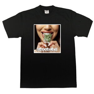 Xg[gCY STREETWISE GREENS S/S TVc BLACK / ubN wr[EFCg  Vc